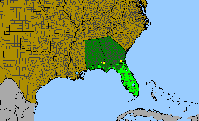 The range of Sabatia grandiflora